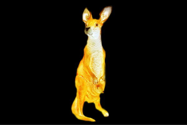【イルミネーション】ゾウ【ゾウB】【アフリカ】【野生】【動物】【アニマル】【3Ｄ】【装飾】【飾り】【アート】【輝き】【電飾】【モチーフ】【クリスマス】【クリスタル】【かわいい】