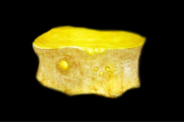 【イルミネーション】テントウムシ【てんとう虫】【昆虫】【ファンタジー】【妖精】【フェアリー】【ファンシー】【茸】【3Ｄ】【装飾】【飾り】【アート】【輝き】【電飾】【モチーフ】【クリスマス】【クリスタル】【かわいい】