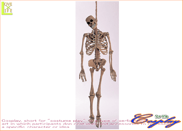 【グッズ】【20R71】ラテックス　スケルトン【スカル】【ドクロ】【オブジェ】【ハロウィン】本格派におススメです♪☆当店♪【パーティ 10,108円