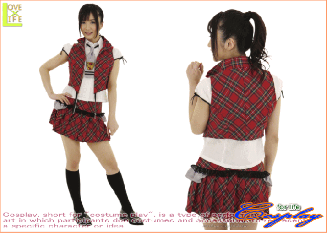 【1 】アイドル　制服チェック【AKB】【アイドル】【制服】運命を書換えるほど強い想いで向き合いたいの。♪☆当店のコスプレシリーズ♪