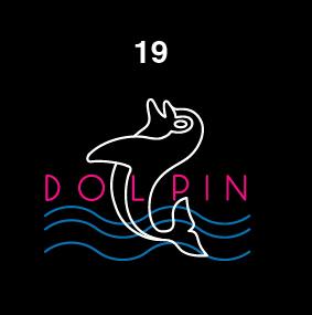 ドルフィン２　LEDイルミネーション【２０ 】【】【クリスマス】【イルミネーション】【電飾】【モチーフ】【大人気】の通販は