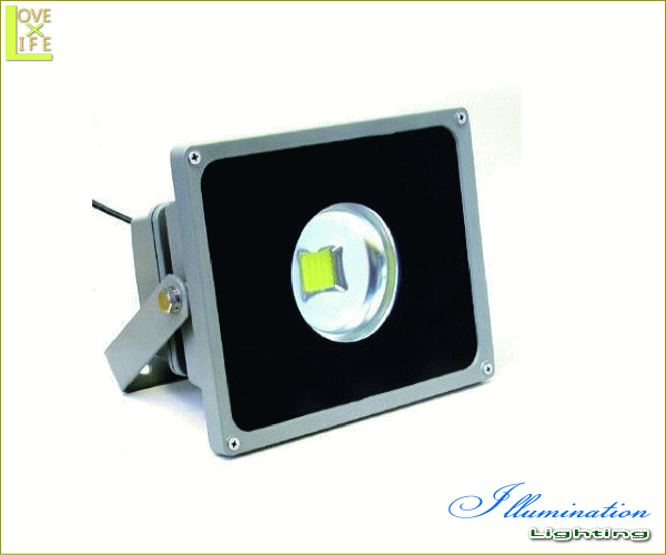 【投光器】【50W】【狭角型】【FL6(C)51】50W投光器 狭角型【ホワイト】【LED装飾照明】【照明】【舞台】【投光】【演出】【LED】【電飾