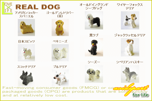送料無料】【メール便等送料無料/代引・後払決済不可】【ポイント消化