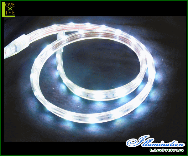【20 】LED チューブライト【ホワイト】【角型】【50M】【ロープライト】【LED】【チューブ】【ライン】ロープライトの改良版！角ばって