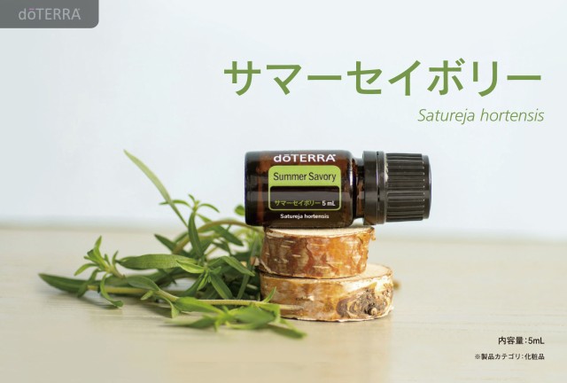 ドテラ Doterra ドテラ サマーセイボリー Summer Savory 5ml アロマオイル ハーブ系 リラックス 天然成分 エッセンシャルオイル 精の通販はau Pay マーケット Outfit Au Pay マーケット店