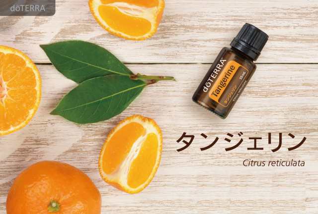 doTERRA ドテラ タンジェリン - 基礎化粧品