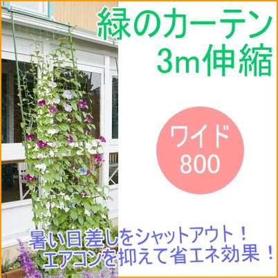 伸縮式緑のカーテン 3m ワイド800 立掛けタイプ 園芸 ガーデニング 家庭菜園 庭 グリーンカーテン 緑のカーテンの通販はau Pay マーケット Joyアイランド