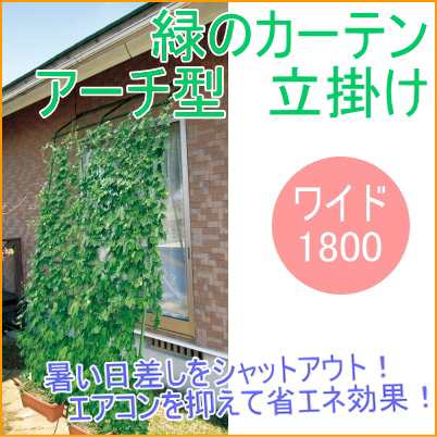 伸縮式緑のカーテン アーチ型 ワイド1800 立掛けタイプ 園芸 ガーデニング 家庭菜園 庭 グリーンカーテンの通販はau Pay マーケット Joyアイランド