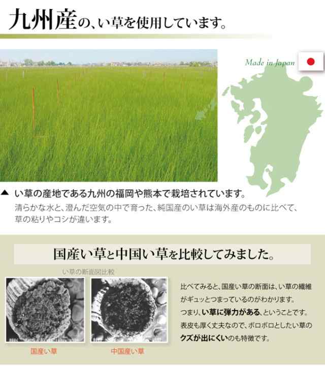 い草上敷き 双目織 松 江戸間2畳 176×176cm 送料無料 日本製 国産