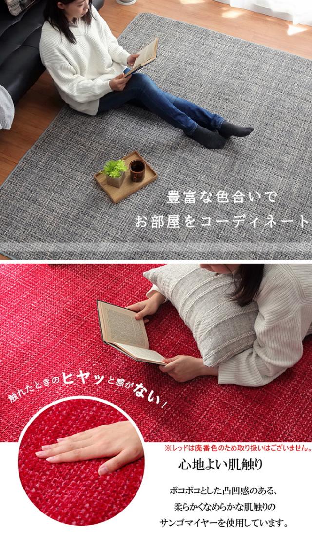 洗えるラグ ノート 4畳 200×300cm 送料無料 リビング ソファ すべり止め 手洗い 床暖房 オールシーズン 不織布_2