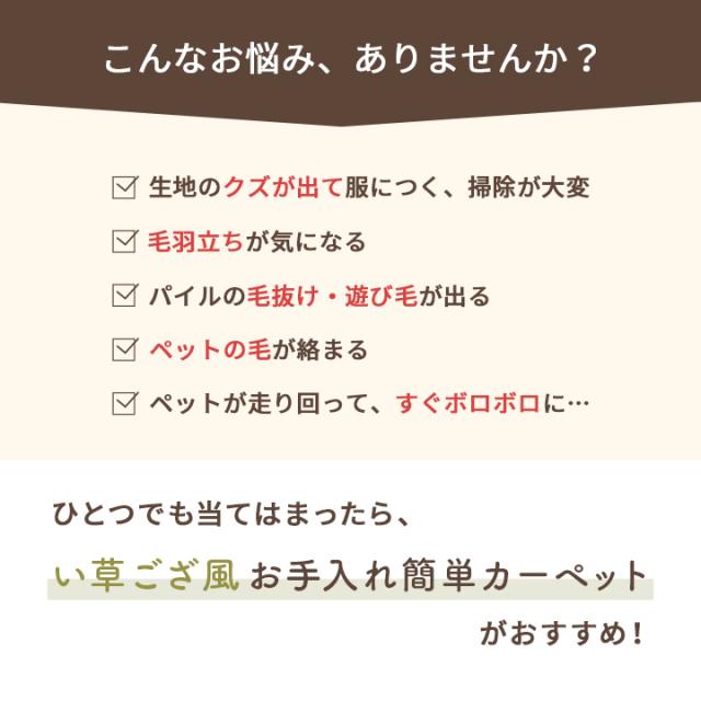 い草風PPカーペット ミーサ 江戸間10畳 435×352cm 送料無料 日本製 水洗い可 畳風 リバーシブル 除菌スプレー対応の通販は