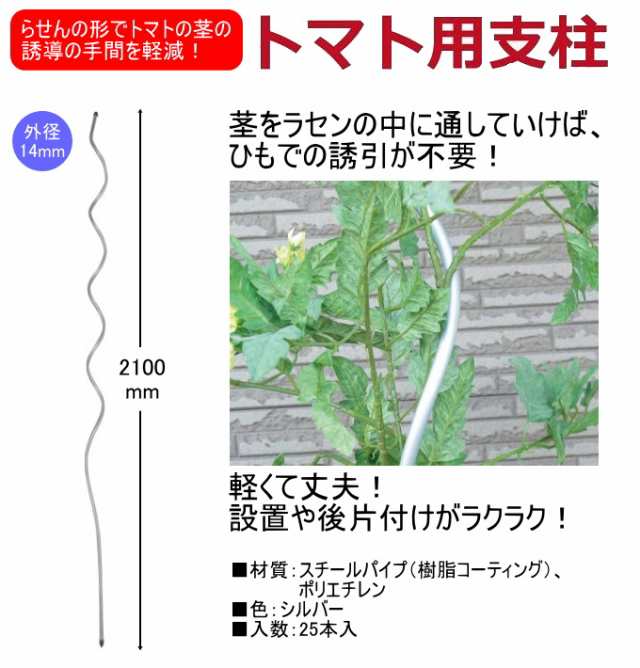 d｜カオマル トマト | KONCENT Web shop｜アッシュコンセプト