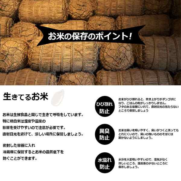 米 お米 10kg 食卓米 食べ比べセット ブレンド米 5ｋｇｘ2袋 国内産 送料無料 こめ 小分け 精米 白米の通販はau PAY マーケット -  流行はいつもここから TREND-I