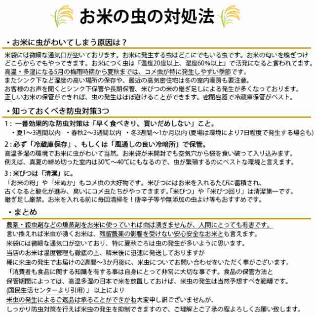 マーケット－通販サイト　米10kg　精米　こめ　セット　米　送料無料　つきたて米　こしひかり　流行はいつもここから　10kg　お米　PAY　コシヒカリ　au　宮崎県産の通販はau　5kg×2袋　小分け　TREND-I　PAY　マーケット