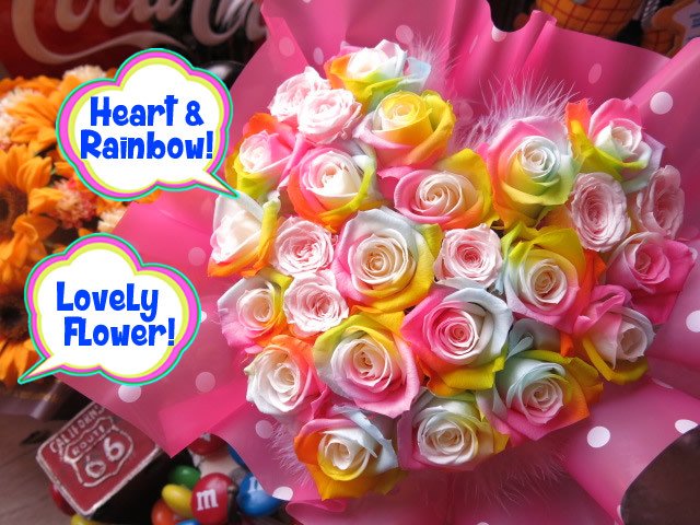 超希少❗️レインボー療法 レインボーパワー 専用ケース付き 【公式通販】