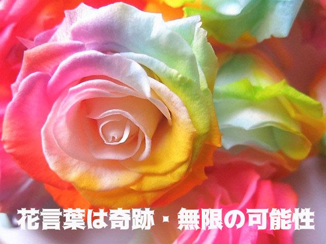 プリザーブドフラワー 花束風 レインボーローズ レインボー