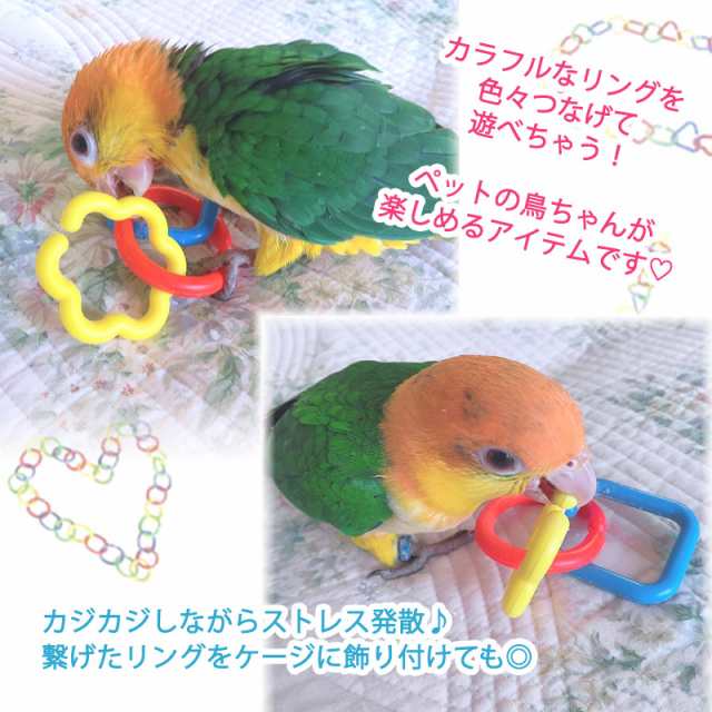 fuu 鳥のおもちゃ カラフルプラりんぐ 【8個入り】 小鳥 オモチャ バードトイ 止まり木 輪っかの通販はau PAY マーケット - milky  rose