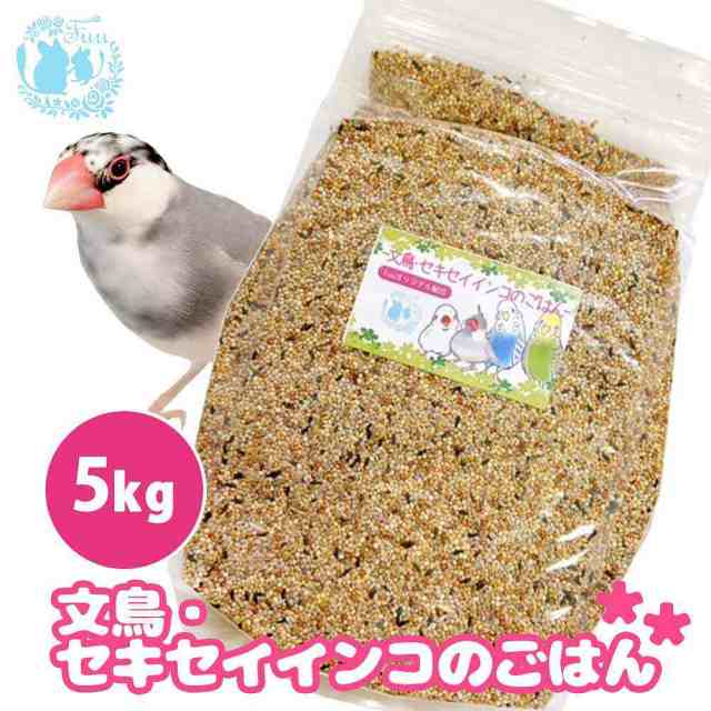 グランドセール ひかり キラピピ フィンチ 300g