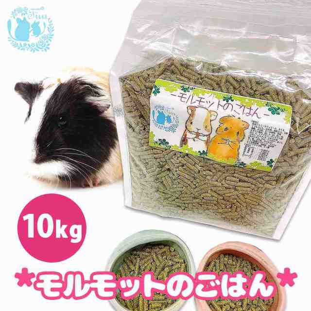 fuu うまうまセレクション モルモットのごはん 10kg 小動物用 バランス 栄養食