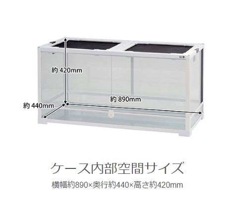 パンテオン　ガラスケース　60×45×45 Amazon | SANKO パンテオン ホワイト WH6045 | Sanko | 飼育