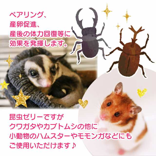 幅広type 昆虫ゼリー クワガタ・カブトムシ・ハムスター・モモンガ・ハリネズミ・小動物v 通販