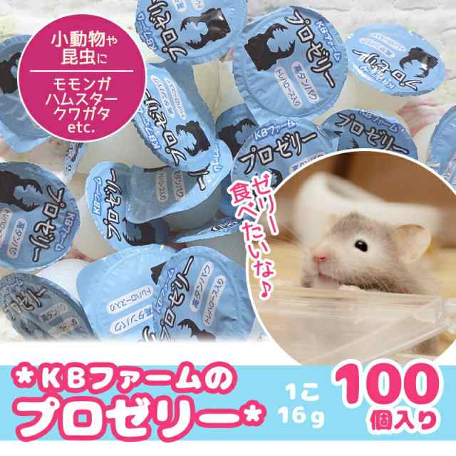 KBファーム プロゼリー 16g 100個 バナナ味 昆虫ゼリー 小動物の通販は