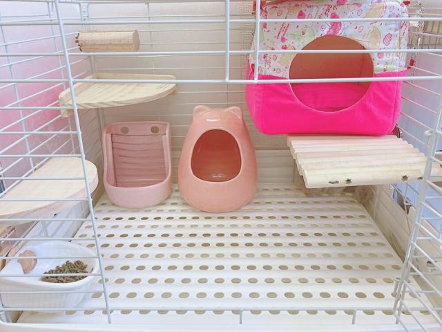 陶器のチモシーポッド 陶器 牧草 エサ入れ えさ 小動物 うさぎ チンチラ デグー モルモットの通販はau Pay マーケット Milky Rose