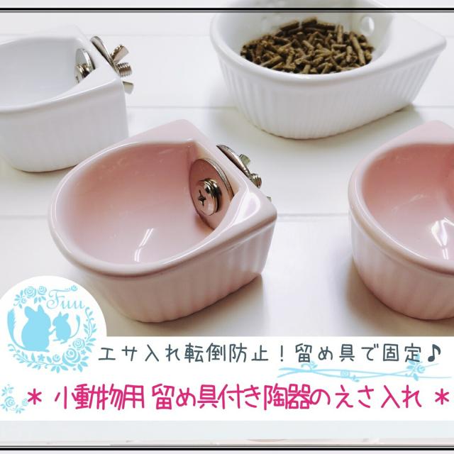 えさ入れ 金具付 S ペット 陶器 留め具付 転落防止 小動物 うさぎ チンチラ デグー ハムスター モルモット モモンガ 小鳥の通販はau Pay マーケット Milky Rose