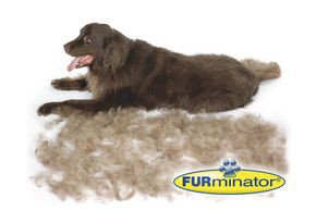 Furminator ファーミネーター Xl 超大型犬 長毛種用 正規品の通販はau Pay マーケット ペットショップqoonqoon