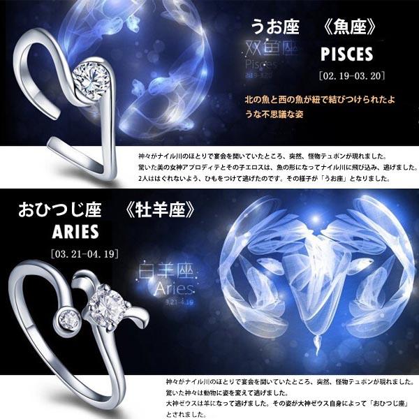 未使用に近い ティファニー リング おひつじ座 ゾディアック 星座 9号