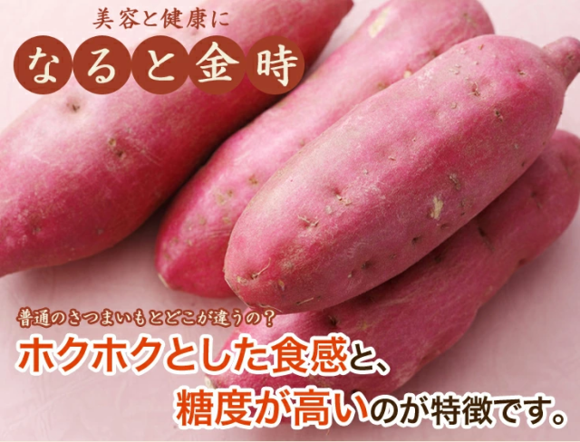 敬老の日 なると金時 3キロ 送料無料 徳島県 鳴門産 鳴門金時 サツマイモ さつまいも 芋 今井ファーム 国産 安心安全 産地直送 高糖度  ギの通販はau PAY マーケット - 淡路島たまねぎ 今井ファ－ム