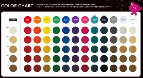 資生堂プロフェッショナル カラーミューズ バイ プリミエンス カラー