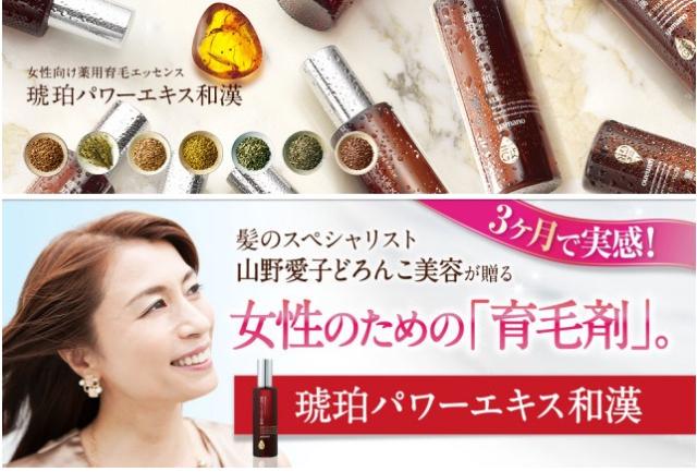 ヤマノ 薬用育毛エッセンス 琥珀パワーエキス 和漢3ヶ月育毛実感セット 100mL×3本【全商品最安値に挑戦】