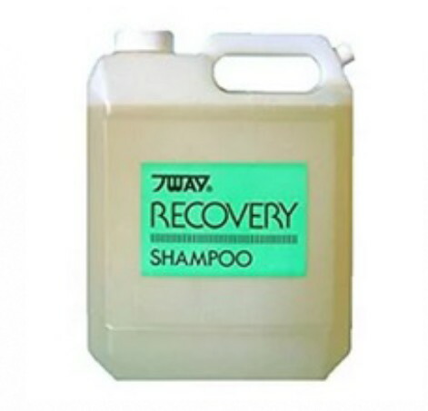 ニューウェイジャパン パイウェイ リカバリー シャンプー 4000ml 業務用【全商品最安値に挑戦】