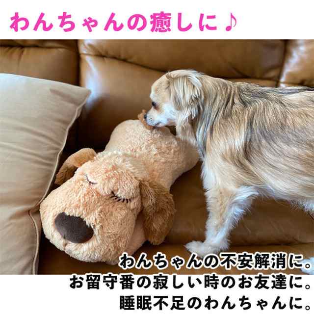 ポイント10 ぬいぐるみ ペット 癒す 心音 安眠 安心 リラックス わんちゃん 子犬 寂しがり 遊ぶ 添い寝 犬 猫 いぬ ねこ ふわふわ 羊の通販はau Pay マーケット Coolbeans