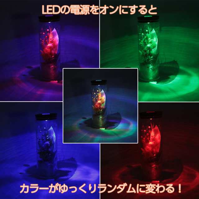 プリザーブドフラワー Led ガラス ドーム ギフト プレゼント 光る 色が変わる イルミネーション 枯れない お花 花 薔薇 バラ 紫陽花 誕生の通販はau Pay マーケット Cool Beans