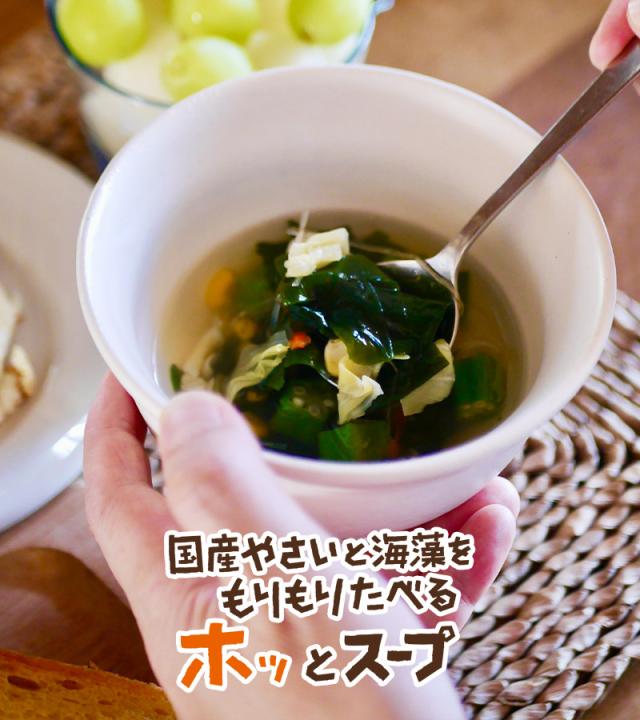 [3袋セット] スープ 国産やさいと海藻をもりもり食べるホッ。とスープ 大袋 165g×3袋 わかめ 昆布 春雨 キャベツ にんじん 野菜香味だし 洋風スープ 即席スープの素 インスタント　たっぷり約27杯分 お得