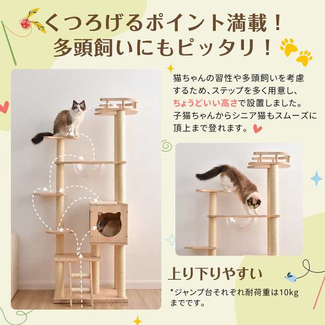 新作 キャットタワー 透明宇宙船 頑丈 据え置き おしゃれ キャット