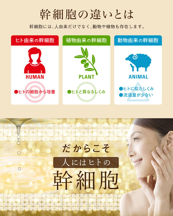 セルラッシュ 美容液 ml メール便送料無料 Cell Lush 美容液 エイジングケア ヒト脂肪細胞順化培養液エキス プラセンタエキス ヒアルの通販はau Pay マーケット キャンディコムウェア