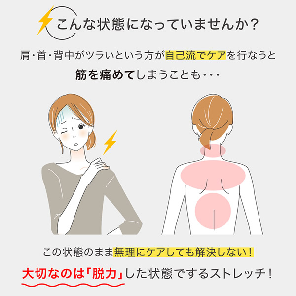 ストレッチパートナー ハグスフィア (送料無料) エクササイズ ストレッチ 筋トレ 脱力 振動マシン リフレッシュ 寝る前 スツール PROIDEA プロイデア_1