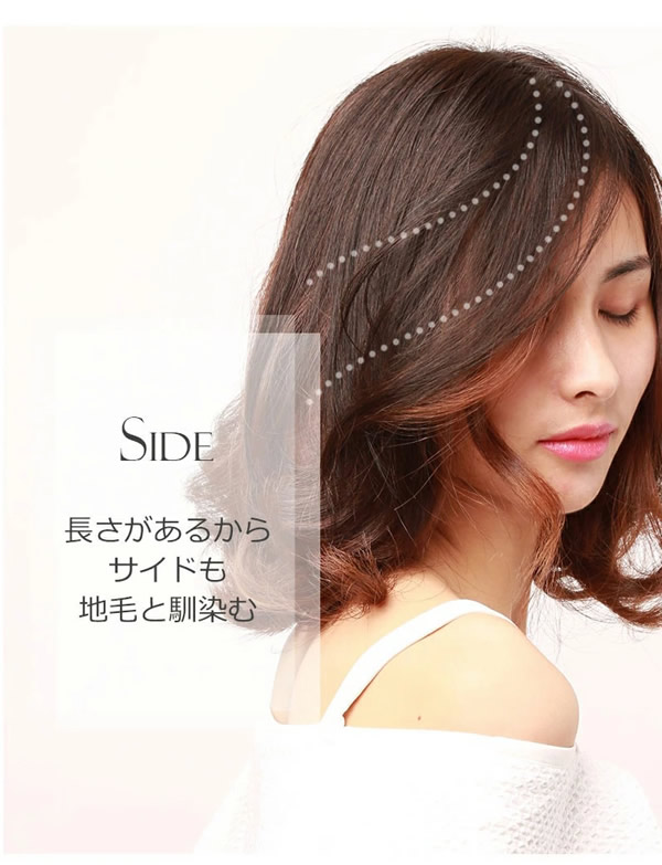 私元気 人毛 部分ウィッグ BHADS812-25 BR 茶色 (送料無料) ポイント