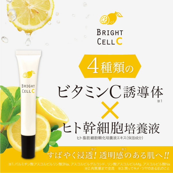 ブライトセルC 20g 2個セット (メール便送料無料) ビタミンC誘導体 ヒト幹細胞培養液 美容クリーム エイジングケア 酵素