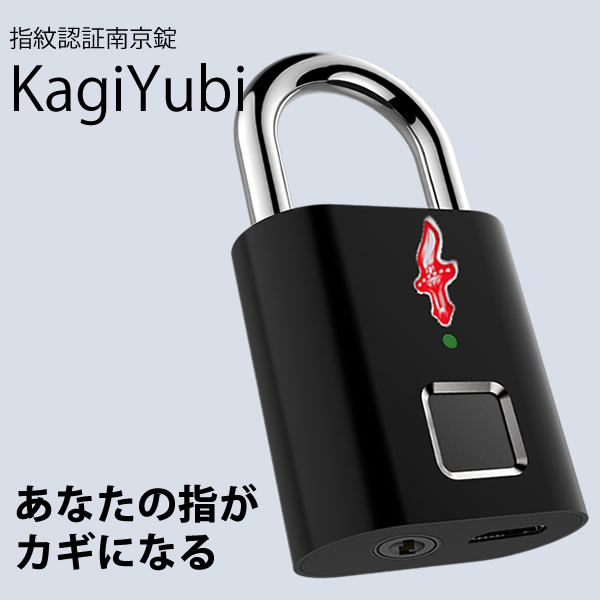 PADLOCK クロームメッキ Nタイプ [PL330N-50] ABLOY 防犯 高耐久