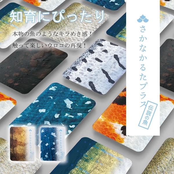 さかなかるたプラス【伝説の魚版・海の釣魚版】かるた 魚 知育 カードゲーム 玩具 教育 おもちゃ お風呂 人気 知育玩具 さかなかるた 学習 生き物 千葉印刷