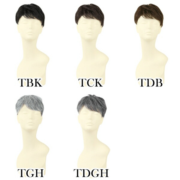 プリシラ 男性用五分ウィッグGB-24耐熱 (送料無料) PRISILA ポイントウィッグ ショート コスプレ ウィック プリシラ 男性用五分ウィッグ ミディアムショート GB-24