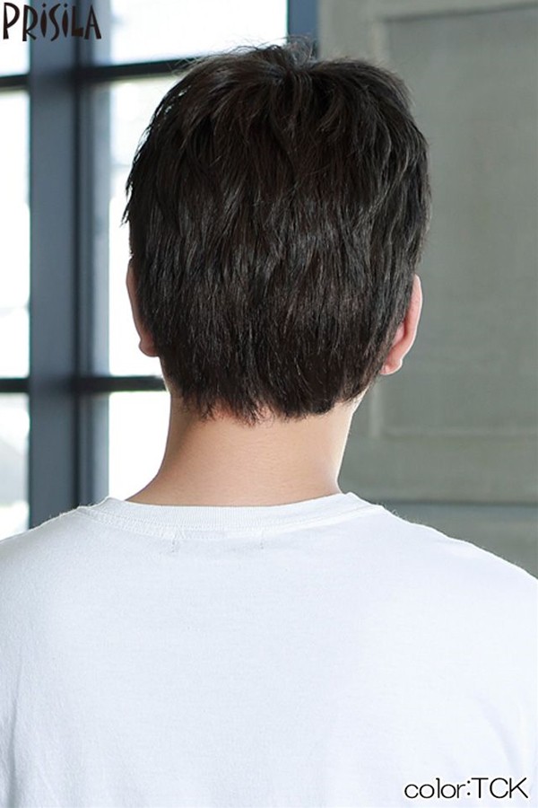 プリシラ 男性用五分ウィッグ【レイヤーショート】GB-22耐熱 (送料無料