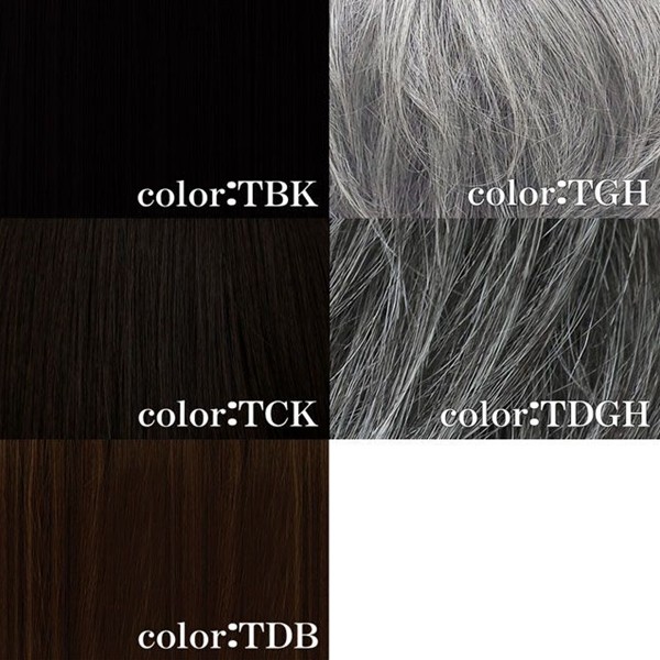 プリシラ 男性用五分ウィッグ【ミディアムショート】GB-24耐熱 (送料