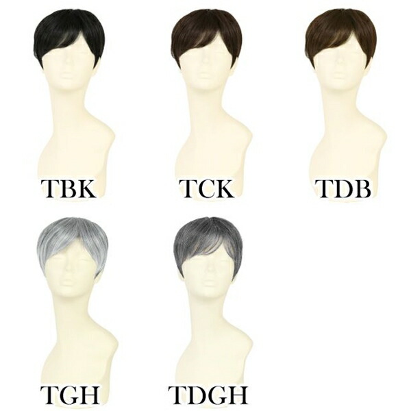 プリシラ 男性用五分ウィッグ【ミディアムショート】GB-24耐熱 (送料