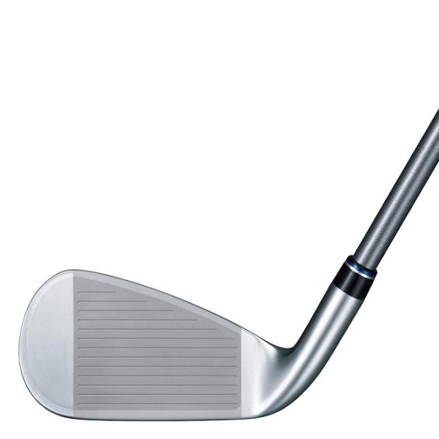 右用 ダンロップ XXIO CROSS 2 ゼクシオクロス2 アイアンセット 7本 (#7-9,Pw,Aw,Dw,Sw) N.S.PRO 860GH DST for XXIO スチールシャフト 日本仕様