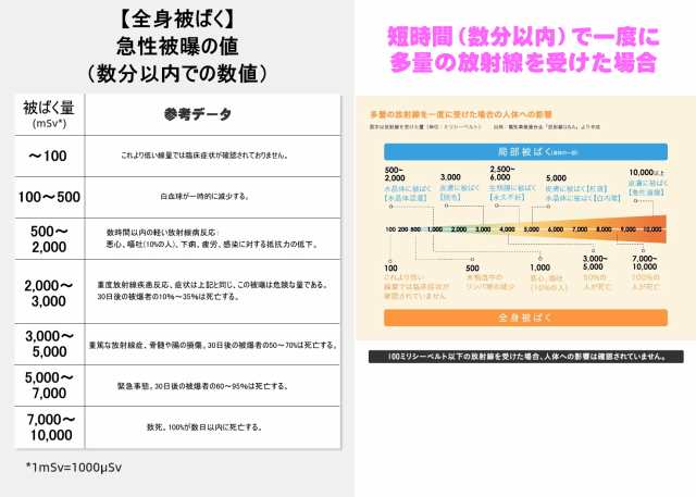 日本初の 放射線測定器 ガイガーカウンター β線 アルファー線 Ｘ線